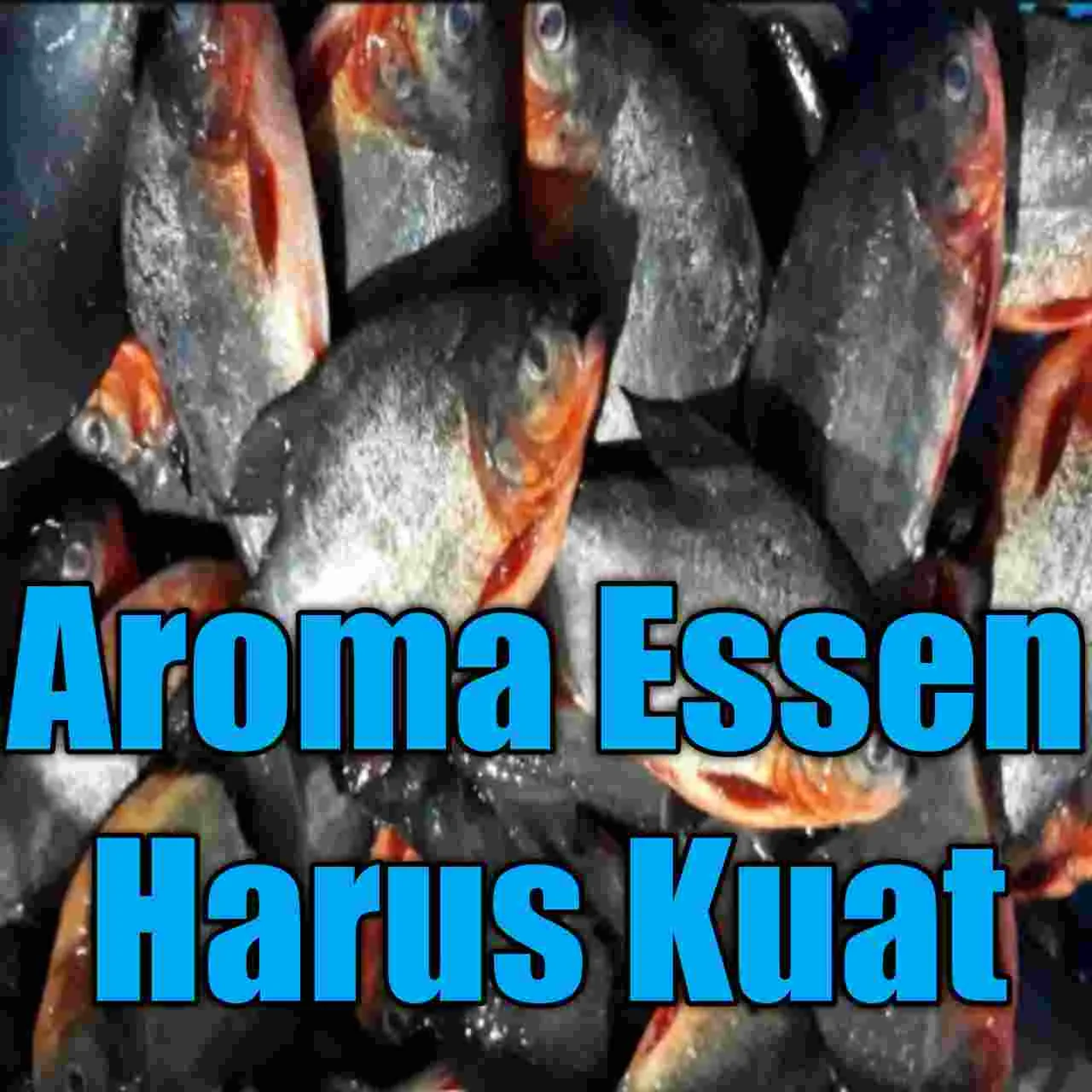 Aroma Essen Yang Disukai Ikan Bawal, Ini Yang Paling Oke!