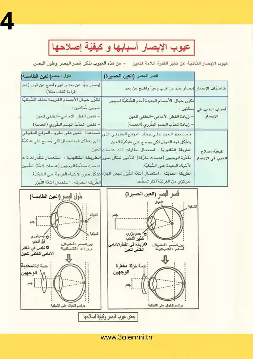 ملخّص درس إحساس شعوري : الإبصار علوم الحياة والأرض السنة التاسعة أساسي