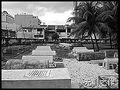 Picture 003