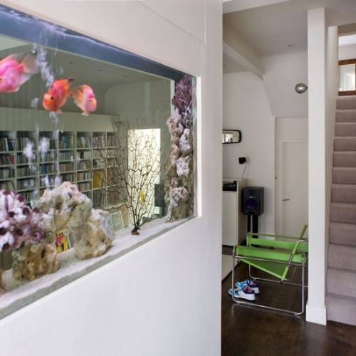 Design Rumah Idaman 10 Model Partisi Ruang Aquarium Terbaik