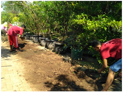 Kegiatan Mahasiswa KKN di PT. Pendawa Kencana Multi Farm Yogyakarta