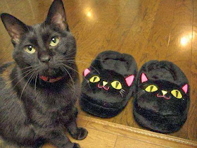 Funny cats - part 89 (40 pics + 10 gifs), black cat and cat shaped slippers
