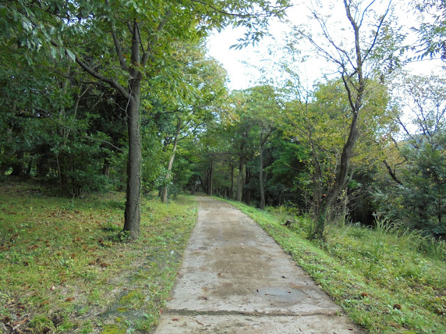 弥生の森の遊歩道