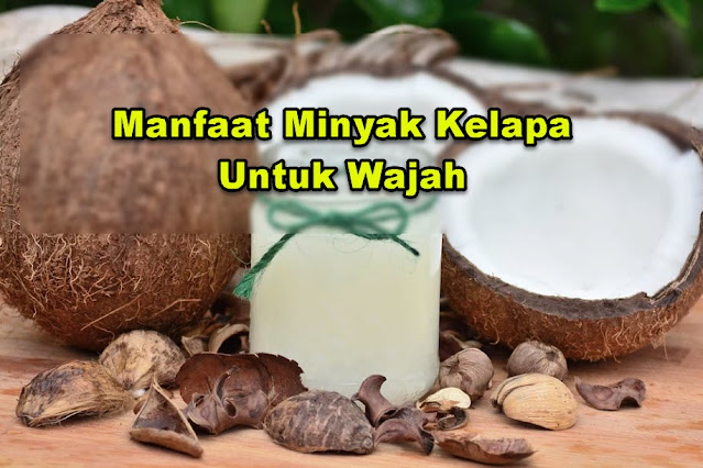 Manfaat Minyak Kelapa Untuk Wajah Dan Cara Menggunakannya