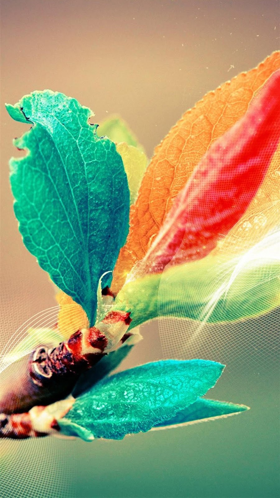 Wallpaper Android Abstrak Colorful Bunga Bercabang