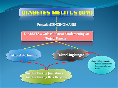 Diabetes Melitus (DM)