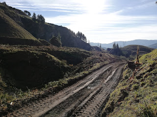 Terreno arrasado, Arnabal, El Regato