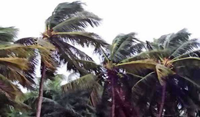 चक्रवाती तूफान यास का असर: ओडिशा में बालेश्वर  और धरमा के में लैंडफाल शुरू ।Cyclone Yaas