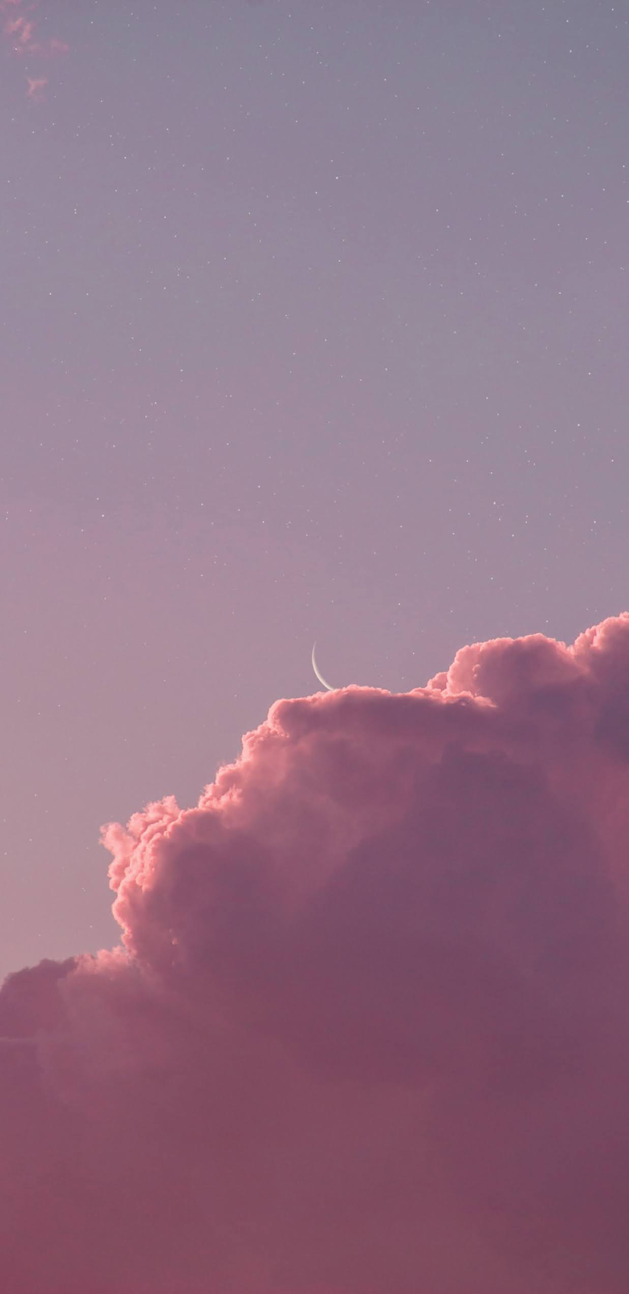 Crescent moon in the pink starry sky