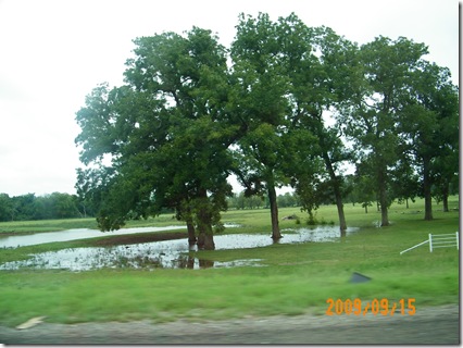 it has rained here!
