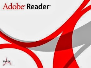 Adobe Reader 11.0.04