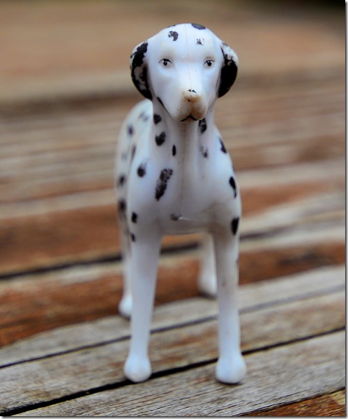 Fred 1