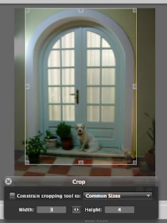 Aperture Tutotial - Cropping Photos