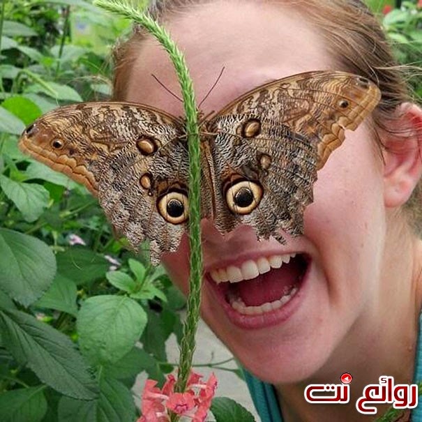 10 صور إلتقطت في اللحظة المناسبة 10 صور إلتقطت في اللحظة المناسبة