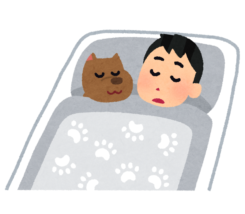 犬と寝る人のイラスト かわいいフリー素材集 いらすとや