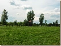 CIMG0819