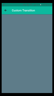 Scale custom transition flutter