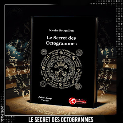 Avis Chronique - Le secret des Octogrammes – Nicolas Bouquillon