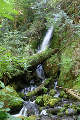 2008-07-11_06_Quinault-Olympic NP_WA_b.jpg