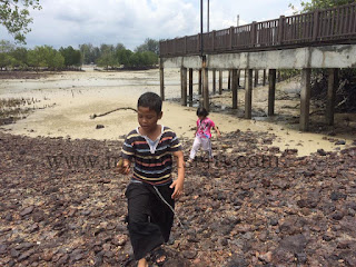 Bercuti di Pulau Burung