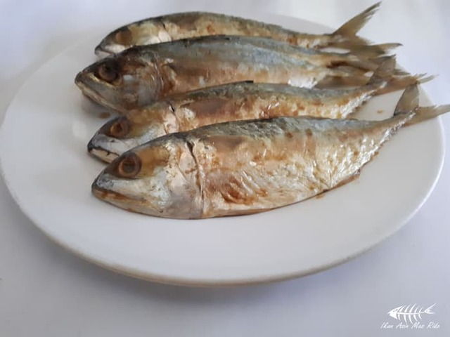 Gambar Ikan  Asin Gabus  Peda Belah dan Biasa dari Jenis 