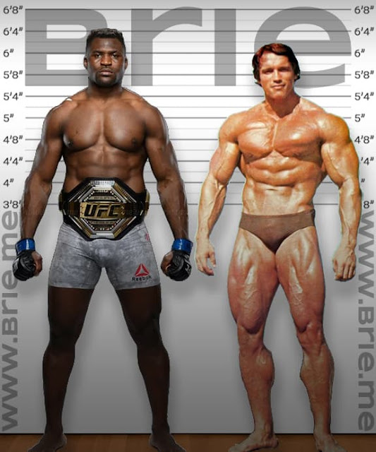 Francis Ngannou height comparison with Arnold Schwarzenegger