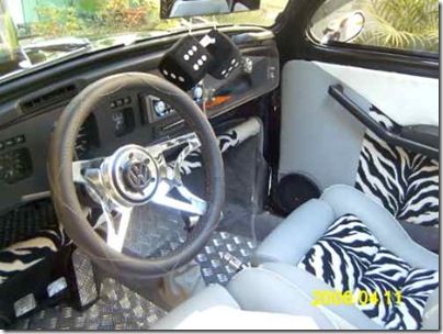 fusca zebraa (3)