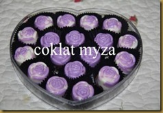 Coklat 1.4.2011 004