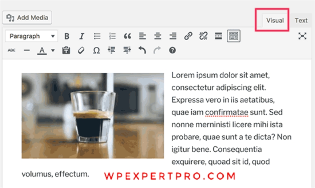 Visual editor in WordPress