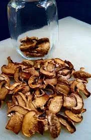 Dried Mushroom Supplier In Nashik