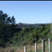View album