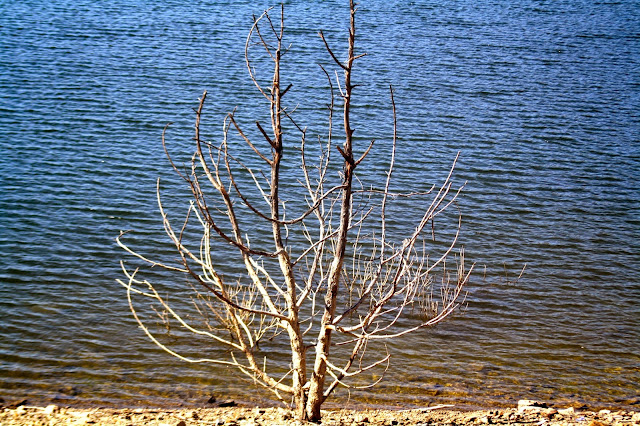 Sugarloaf Reservoir, Christmas Hills