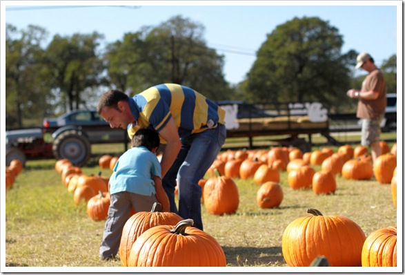 pumpkin patch IMG_9950