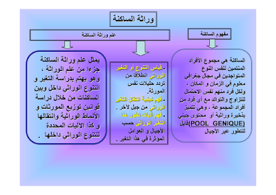 سلسلة تمارين وراثة الساكنة