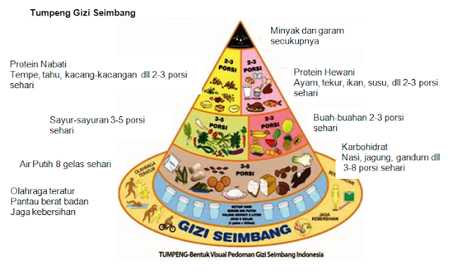 Gizi seimbang