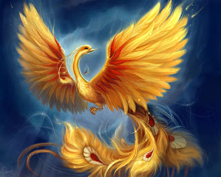 Hasil gambar untuk gambar burung phoenix