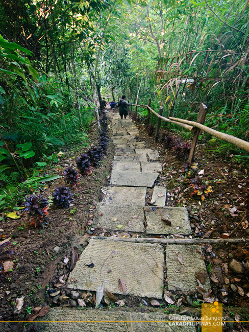 The Trail to Kalikasan Waterfalls in Camp Peralta, Capiz