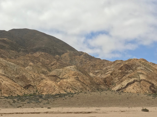 Parque  Nacional Pan de Azúcar, Región de Atacama, Chile