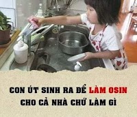 Út gì, Ô sin để sai vặt đúng hơn 🤒