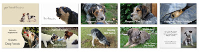 Dog business cards horizontal templates