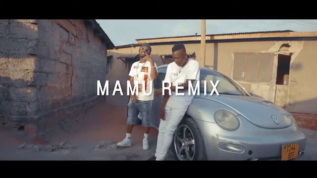 VIDEO | Meja Kunta Ft. MR Blue - Mamu REMIX