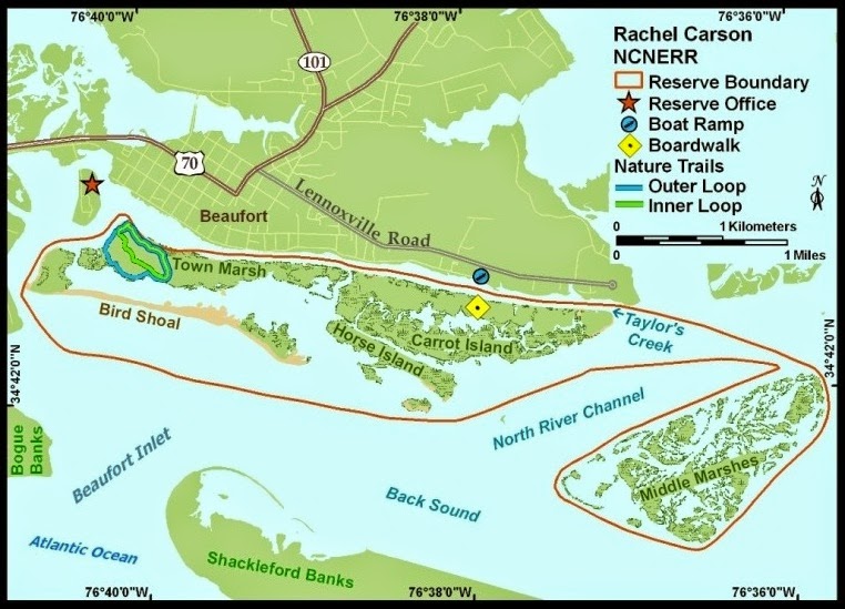 Beaufort North Carolina's BEST: Rachel Carson Reserve