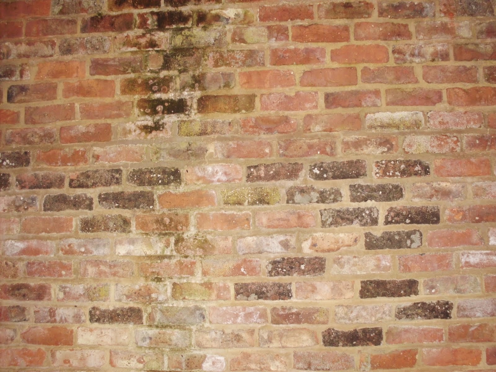 brick solid