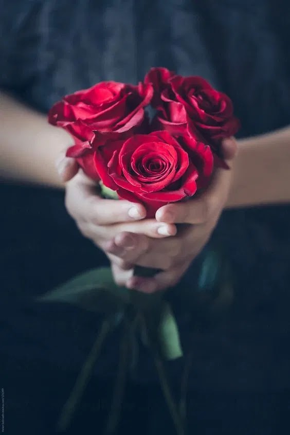 Ø®Ù„ÙÙŠØ§Øª ÙˆØ±ÙˆØ¯ Ø¬Ù…ÙŠÙ„Ø© ØµÙˆØ± ÙˆØ±Ø¯ Ø±Ø§Ø¦Ø¹Ø©