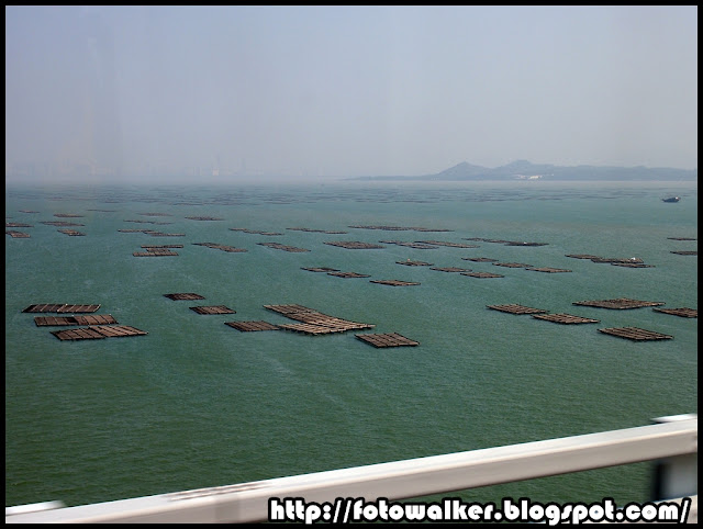 深圳灣公路大橋