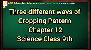 Describe three different ways of cropping pattern used by farmers to get maximum benefits.