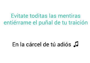 Vicente Fernández Chente En La Cárcel de Tú Adiós significado de la canción.