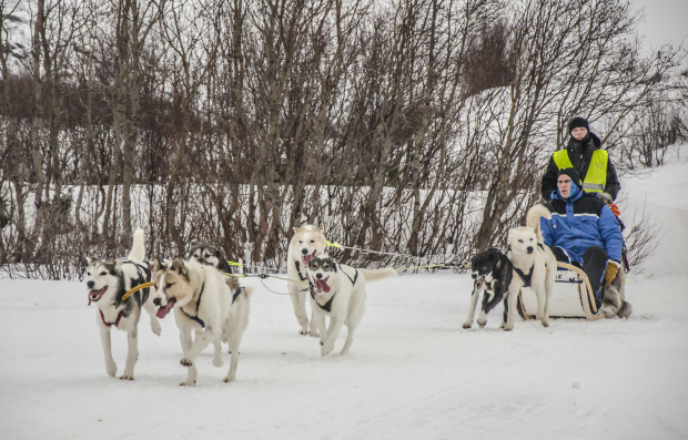 7 glorious reasons to visit Kirkenes in Norway