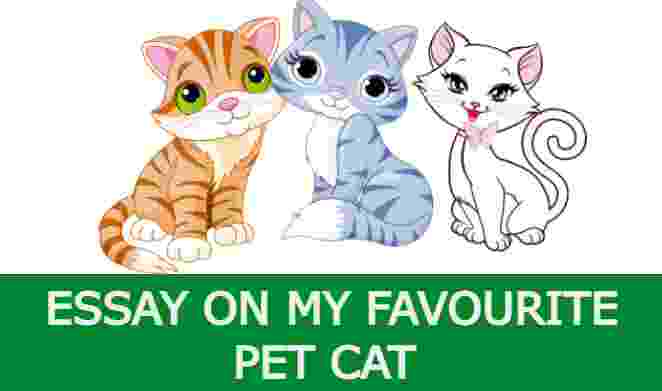 10 Lines on My Favourite Pet Cat | Essay on My Favourite Pet Cat