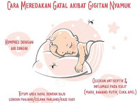 Cara Menghilangkan Gatal Akibat Gigitan Serangga